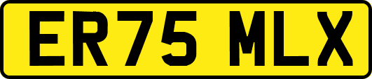 ER75MLX