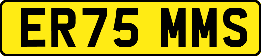 ER75MMS