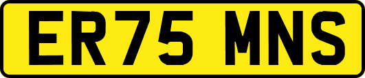 ER75MNS