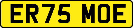 ER75MOE