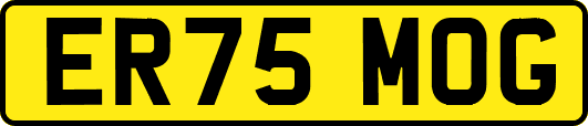 ER75MOG