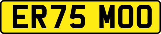 ER75MOO