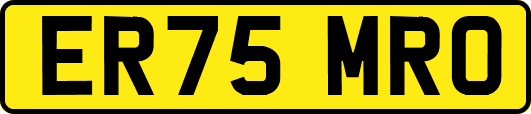 ER75MRO