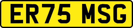ER75MSG