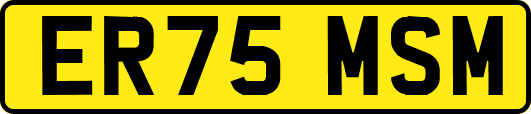 ER75MSM