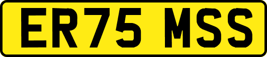 ER75MSS