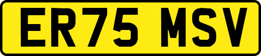 ER75MSV
