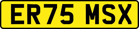 ER75MSX