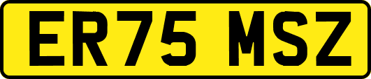 ER75MSZ