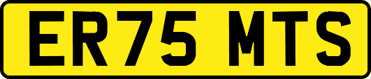 ER75MTS