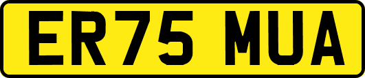 ER75MUA