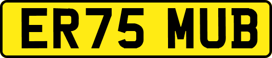 ER75MUB
