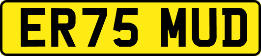 ER75MUD