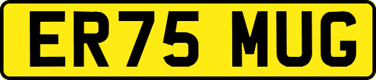 ER75MUG