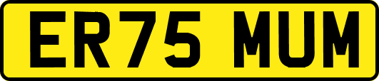 ER75MUM