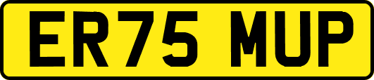 ER75MUP