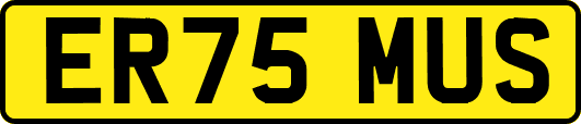 ER75MUS