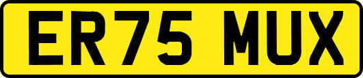 ER75MUX