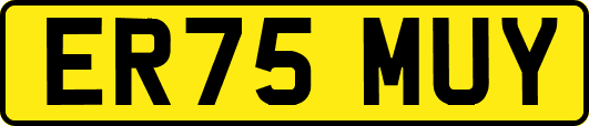 ER75MUY