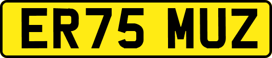 ER75MUZ