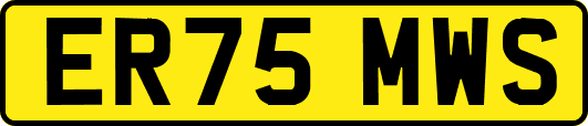 ER75MWS
