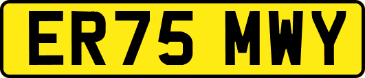 ER75MWY