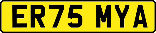ER75MYA