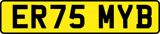 ER75MYB