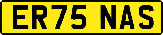 ER75NAS