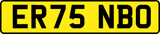 ER75NBO