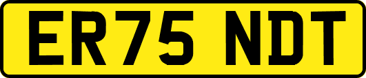 ER75NDT