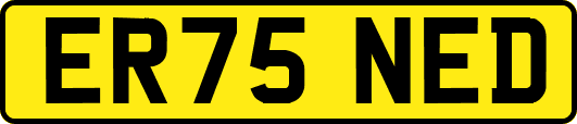 ER75NED