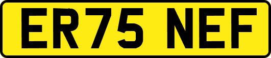 ER75NEF