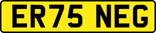 ER75NEG