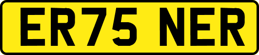 ER75NER