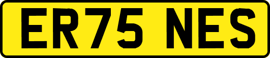 ER75NES