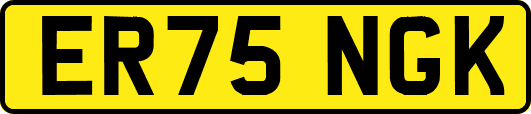 ER75NGK