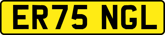 ER75NGL
