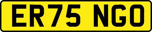 ER75NGO