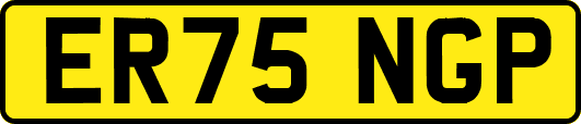 ER75NGP