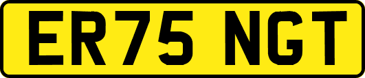 ER75NGT