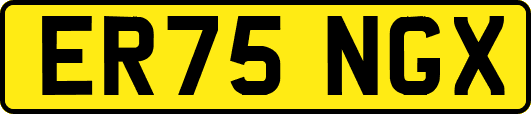ER75NGX