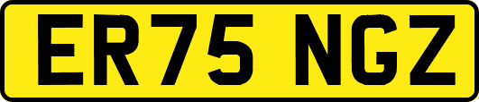 ER75NGZ