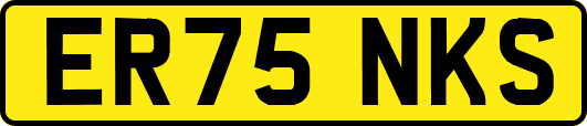 ER75NKS