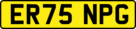 ER75NPG