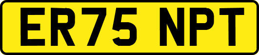 ER75NPT