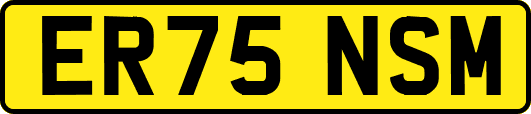 ER75NSM