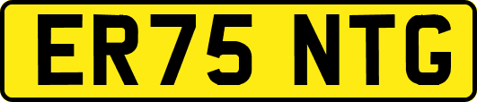 ER75NTG