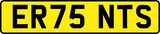 ER75NTS