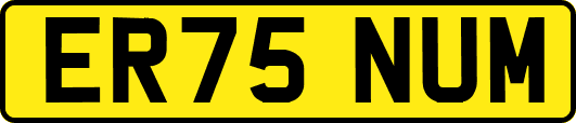 ER75NUM